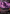 Doomsday Excruciator (Borderless) [Duskmourn: House of Horror] - Magic: The Gathering - Card Brawlers | Quebec | Canada |