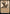 Rasaad yn Bashir (Showcase) [Commander Legends: Battle for Baldur's Gate] - Magic: The Gathering - Card Brawlers | Quebec | Canada |