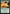 Solid Ground [Avatar: The Last Airbender: Eternal-Legal] - Magic: The Gathering - Card Brawlers | Quebec | Canada |