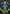 Halo Fountain Art Card (Gold-Stamped Signature) [Streets of New Capenna Art Series] - Magic: The Gathering - Card Brawlers | Quebec | Canada |