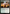 Stand United [Avatar: The Last Airbender: Eternal-Legal] - Magic: The Gathering - Card Brawlers | Quebec | Canada |