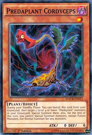 Predaplant Cordyceps [MACR-EN011] Common - Yu-Gi-Oh! - Card Brawlers | Quebec | Canada |
