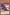 Rose, Warrior of Revenge (Purple) [DL16-EN005] Rare - Yu-Gi-Oh! - Card Brawlers | Quebec | Canada |