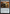 Peter Parker's Camera [Marvel's Spider-Man] - Magic: The Gathering - Card Brawlers | Quebec | Canada |