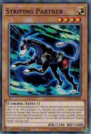 Striping Partner [EXFO-EN003] Common - Yu-Gi-Oh! - Card Brawlers | Quebec | Canada |
