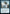 Pull from Tomorrow [Commander Legends: Battle for Baldur's Gate] - Magic: The Gathering - Card Brawlers | Quebec | Canada |