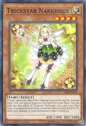 Trickstar Narkissus [SP18-EN023] Common - Yu-Gi-Oh! - Card Brawlers | Quebec | Canada |