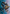 Ao, the Dawn Sky 1 Art Card [Kamigawa: Neon Dynasty Art Series] - Magic: The Gathering - Card Brawlers | Quebec | Canada |