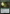 Bala Ged Recovery // Bala Ged Sanctuary [Secret Lair: From Cute to Brute] - Magic: The Gathering - Card Brawlers | Quebec | Canada |