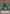 Gigaplant [DUOV-EN062] Ultra Rare - Yu-Gi-Oh! - Card Brawlers | Quebec | Canada |