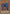 Clown de rêve [MRD-080] Commun 