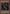 Chaos Emperor Dragon - Envoy of the End [IOC-000] Secret Rare - Yu-Gi-Oh! - Card Brawlers | Quebec | Canada |