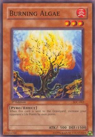 Burning Algae [IOC-062] Common - Yu-Gi-Oh! - Card Brawlers | Quebec | Canada |