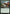 Snapping Sailback [Ixalan] - Magic: The Gathering - Card Brawlers | Quebec | Canada |