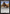 Nyla, Shirshu Sleuth [Avatar: The Last Airbender: Eternal-Legal] - Magic: The Gathering - Card Brawlers | Quebec | Canada |