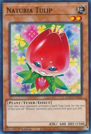 Naturia Tulip [HAC1-EN104] Common - Yu-Gi-Oh! - Card Brawlers | Quebec | Canada |