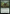Scrapshooter [Bloomburrow] - Magic: The Gathering - Card Brawlers | Quebec | Canada |