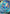 Dhelmise V (187/202) [Sword & Shield: Base Set] - Pokémon - Card Brawlers | Quebec | Canada |