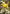 Pikachu EX (XY124) (Jumbo Card) [XY: Black Star Promos] - Pokémon - Card Brawlers | Quebec | Canada |