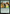 Animal Attendant [Avatar: The Last Airbender: Eternal-Legal] - Magic: The Gathering - Card Brawlers | Quebec | Canada |