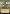 Obscuring Haze (Showcase) [Avatar: The Last Airbender: Eternal-Legal] - Magic: The Gathering - Card Brawlers | Quebec | Canada |