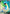 Lapras V (189/202) [Sword & Shield: Base Set] - Pokémon - Card Brawlers | Quebec | Canada |