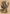 Sivriss, Nightmare Speaker Art Card (51) (Gold-Stamped Signature) [Commander Legends: Battle for Baldur's Gate Art Series] - Magic: The Gathering - Card Brawlers | Quebec | Canada |