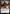 Mask of Griselbrand [Duskmourn: House of Horror Commander] - Magic: The Gathering - Card Brawlers | Quebec | Canada |