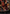 Treetop Village (Borderless) [Avatar: The Last Airbender: Eternal-Legal] - Magic: The Gathering - Card Brawlers | Quebec | Canada |