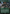 Sylvan Library (Borderless Alternate Art) [Dominaria Remastered] - Magic: The Gathering - Card Brawlers | Quebec | Canada |