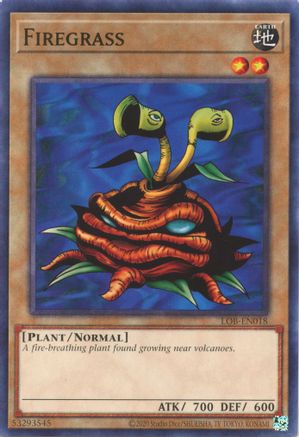Firegrass (25th Anniversary) [LOB-EN018] Common - Yu-Gi-Oh! - Card Brawlers | Quebec | Canada |