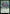 Haldir, Lorien Lieutenant [The Lord of the Rings: Tales of Middle-Earth Commander] - Magic: The Gathering - Card Brawlers | Quebec | Canada |