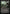 Sheoldred's Edict (Promo Pack) [Phyrexia: All Will Be One Promos] - Magic: The Gathering - Card Brawlers | Quebec | Canada |