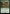 Shower of Arrows [The Lord of the Rings: Tales of Middle-Earth] - Magic: The Gathering - Card Brawlers | Quebec | Canada |