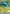 Venusaur ex (003/165) [Scarlet & Violet 151] - Pokémon - Card Brawlers | Quebec | Canada |