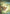 Might of the Ancestors Art Card [The Lost Caverns of Ixalan Art Series] - Magic: The Gathering - Card Brawlers | Quebec | Canada |