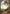 Draconic Smash (BP03-066EN) [Flame of Laevateinn] - Bushiroad - Card Brawlers | Quebec | Canada |