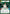 Mon Mothma - Voice of the Rebellion (Hyperspace) (360) [Spark of Rebellion] - Fantasy Flight Games - Card Brawlers | Quebec | Canada |