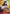 Monkey.D.Luffy (001) (Offline Regional 2024 Vol. 2) [Finalist] (P-001) - One Piece Promotion Cards Foil