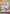 Monkey.D.Luffy (041) (Offline Regional 2024 Vol. 2) [Finalist] (P-041) - One Piece Promotion Cards Foil