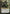 Garruk, Cursed Huntsman (Borderless) [Bloomburrow Commander] - Magic: The Gathering - Card Brawlers | Quebec | Canada |