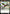 Bird (003) // Rhino (013) Double-Sided Token [Modern Horizons Tokens] - Magic: The Gathering - Card Brawlers | Quebec | Canada |