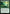 Explosive Vegetation [Duskmourn: House of Horror Commander] - Magic: The Gathering - Card Brawlers | Quebec | Canada |