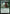 Multani, Yavimaya's Avatar [Duskmourn: House of Horror Commander] - Magic: The Gathering - Card Brawlers | Quebec | Canada |