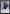 Treasure (20) // Teferi Akosa of Zhalfir Emblem Double-Sided Token [March of the Machine Tokens] - Magic: The Gathering - Card Brawlers | Quebec | Canada |