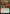 Peer Past the Veil [Duskmourn: House of Horror Prerelease Promos] - Magic: The Gathering - Card Brawlers | Quebec | Canada |