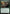 Balustrade Wurm (Promo Pack) [Duskmourn: House of Horror Promos] - Magic: The Gathering - Card Brawlers | Quebec | Canada |