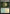 Hushwood Verge (Promo Pack) [Duskmourn: House of Horror Promos] - Magic: The Gathering - Card Brawlers | Quebec | Canada |