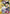 Action Point Card (AP01) (HUNTER X HUNTER) (UEPR/HTR-AP01) - Union Arena Promotion Cards Foil