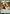 Huyang - Enduring Instructor (380) (Hyperspace) (380) [Twilight of the Republic] - Fantasy Flight Games - Card Brawlers | Quebec | Canada |